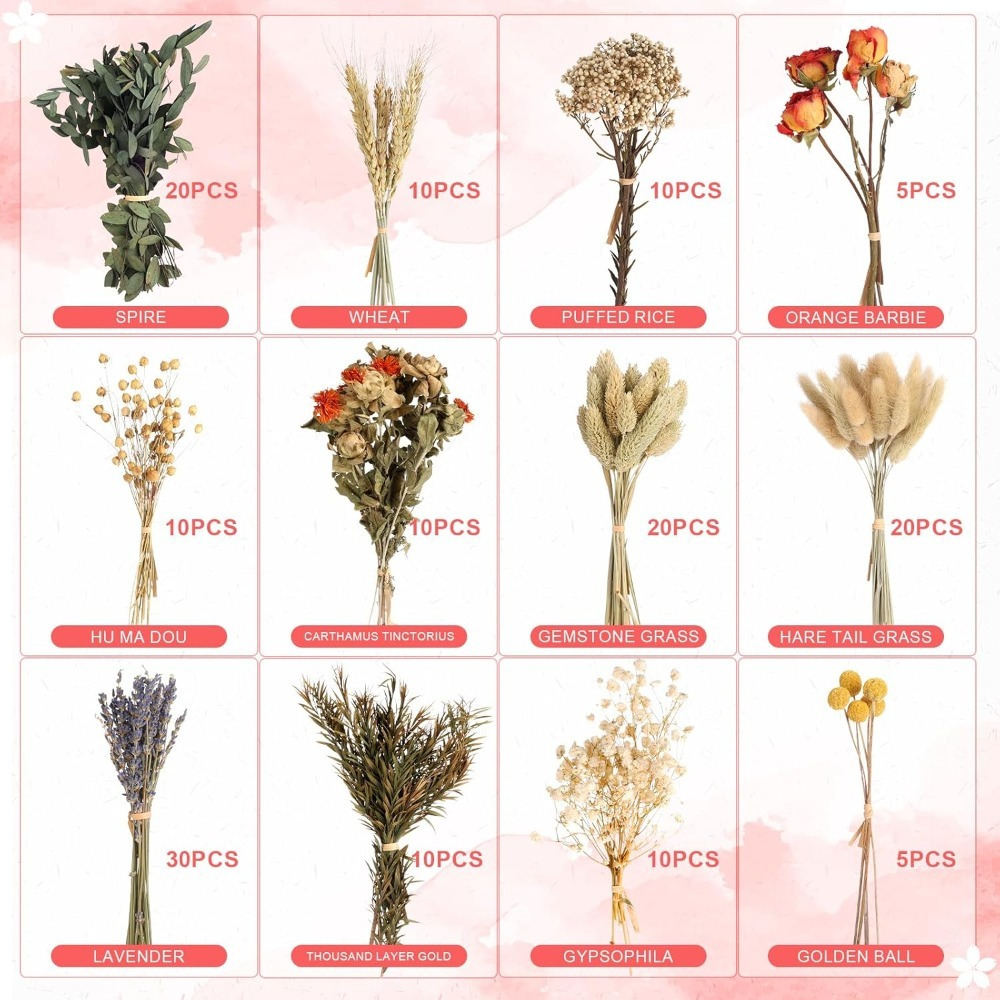 160-Piece Mini Dried Flowers DIY Set For Decorations, Crafts, & Gifts—Party Supplies Set