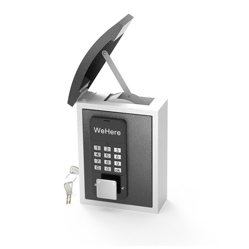 Smart Key Delivery Box Wall