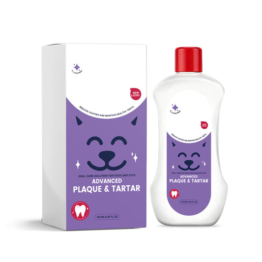 Oral Care Solution For Dogs And Cats