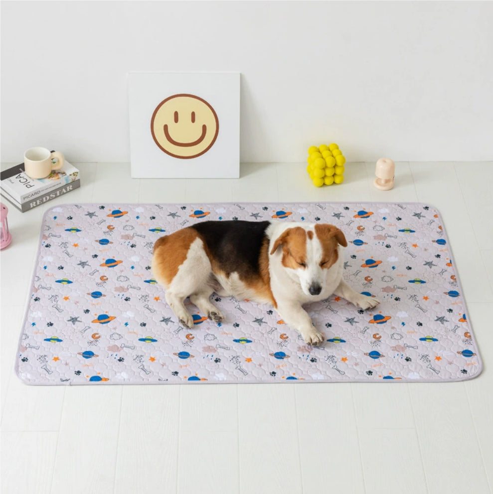 Washable Pet Urine Barrier Mat