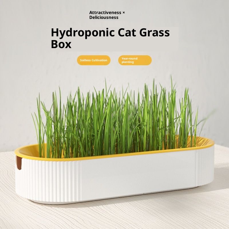 Pet Supplies Cat Snacks Catnip Planting Hydroponic Box