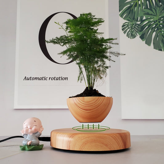 Maglev Potted Home Creative Gifts Desktop Ornaments