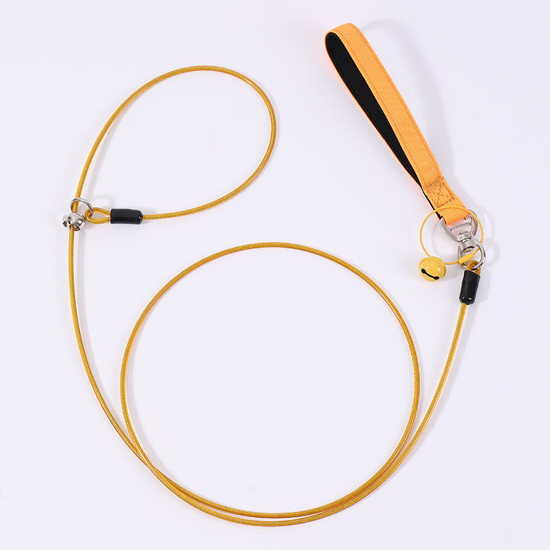 Pet Leash And Collar Dog Walking Leash