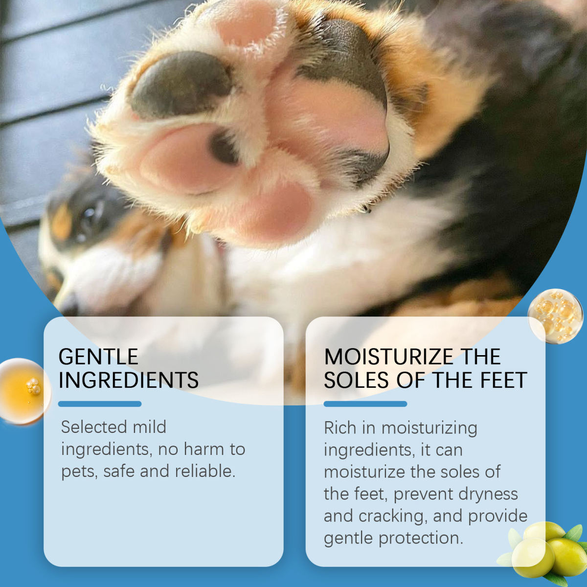 Dog Cat Foot Maintenance Moisturizing Foot Foot Foot Pad Care