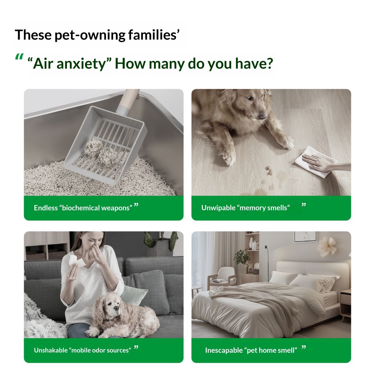 Pet Odor-removing Bio-enzyme With A Pet-friendly Fragrance