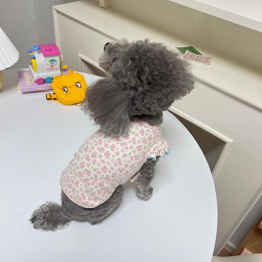 Clothes For Small Two-legged Pet Dogs