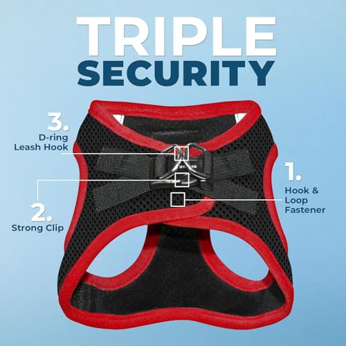 Best Pet Supplies Voyager Step-in Air All Weather Mesh Harness and Reflective Dog 5ft Leash Combo with Neoprene Handle, fo...