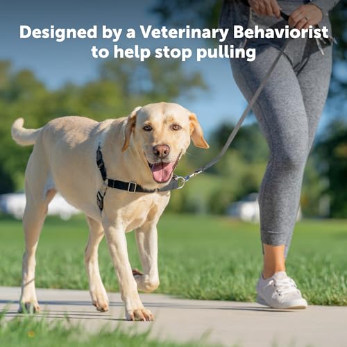 PetSafe Easy Walk Harness for Dogs - Pull-Free Walks - Patented Martingale Loop Design - Front Chest Leash Attachment - Co...