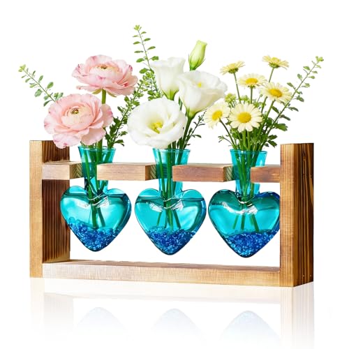 Nacome Plant Terrarium Propagation Stations: Mothers Day Gifts for Mom Plant Lovers Women Wife Daughter - 3 Bulb Glass Vas...