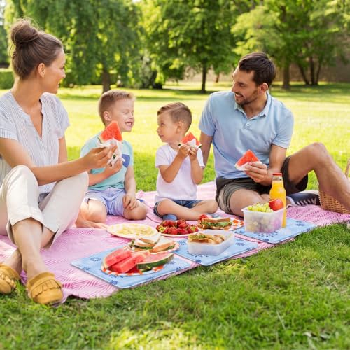 Reallnaive 4 Pcs Reusable Freezable Ice Mat for Buffet Table Chilled Serving Tray Party 9.8 x 9.8 Inches Charcuterie Coole...