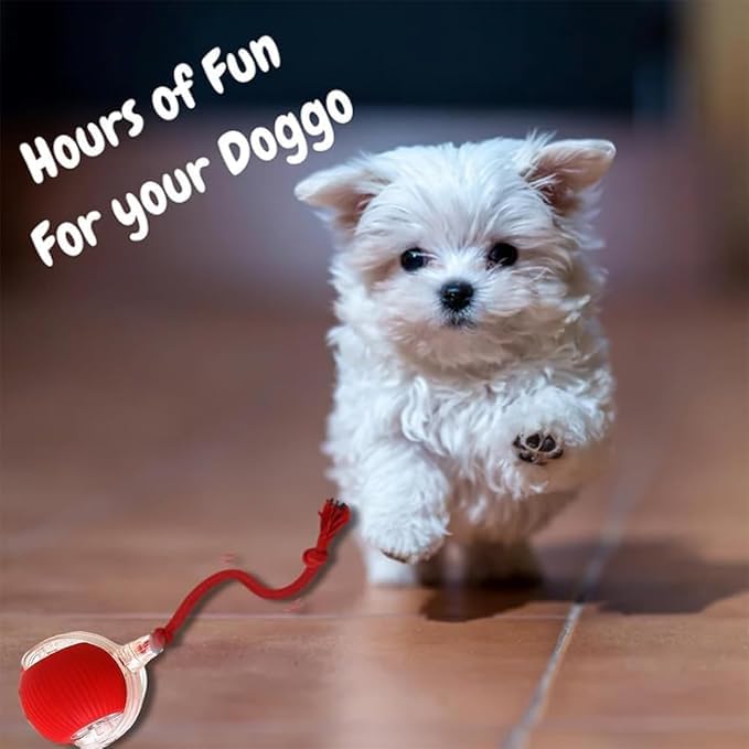 2 Packs New Electric Dog Ball Toy for Cat,360° Smart Automatic Interactive Rolling Dog Smart Pet Toy Ball,Gift for Kids