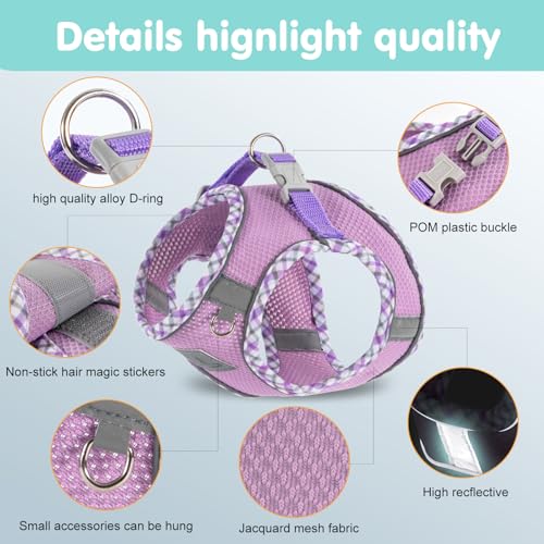 TomteNisse Dog Harness and Leash Set - No Pull Soft Breathable Small Dog Harness, Adjustable Reflective Step in Vest for P...
