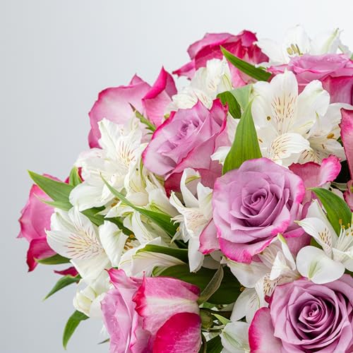 Benchmark Bouquets - Delightful Roses & Alstroemeria (Glass Vase Included) - Fresh Flowers for Delivery - Gift for Graduat...