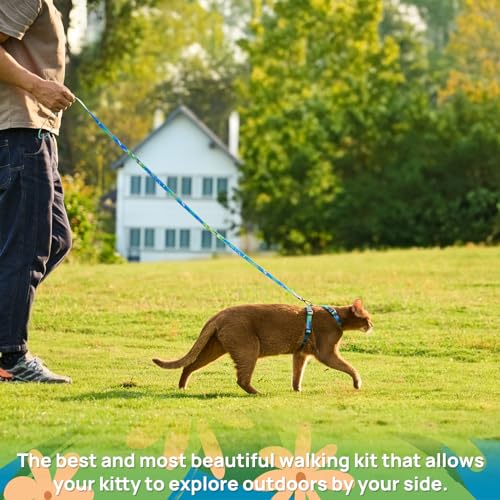 Cat Harness and Leash Set - Escape Proof Adjustable Cat Harness, Comfortable Soft Lightweight, Use Safe & Easy, Walking Tr...