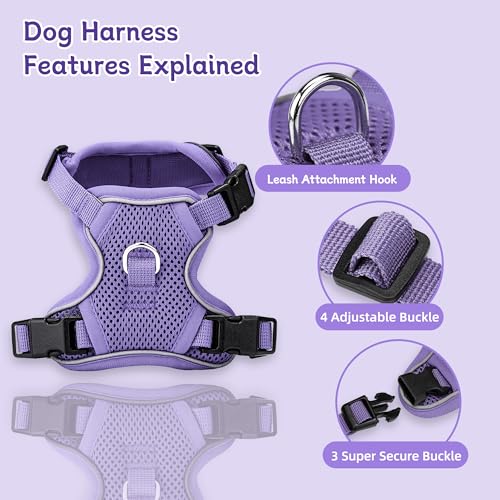 Ychpaw Small Dog Harness and Leash Set, Reflective Soft Breathable Mesh Vest, 3 Buckles, Adjustable Neck and Chest,Step in...