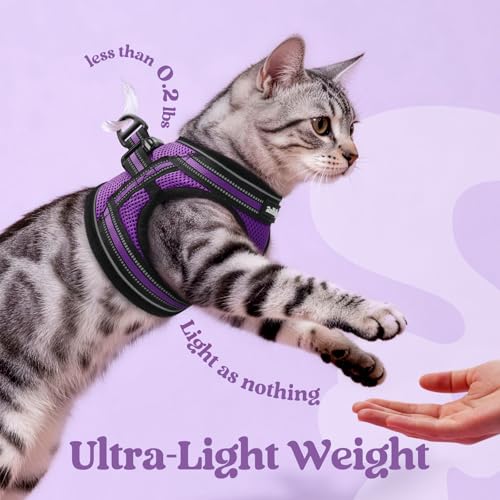 rabbitgoo Cat Harness and Leash Set for Walking Escape Proof, Adjustable Soft Kittens Vest with Reflective Strip for Cats,...
