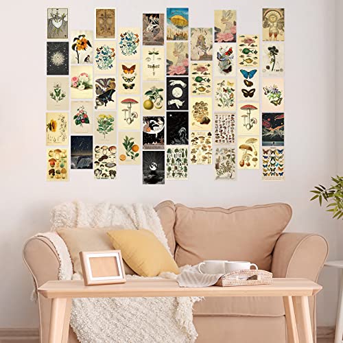 Containlol 60 Pcs Vintage Wall Collage Kit Maximalist Paintings Art Prints Botanical Illustration Tarot Aesthetic Vintage ...