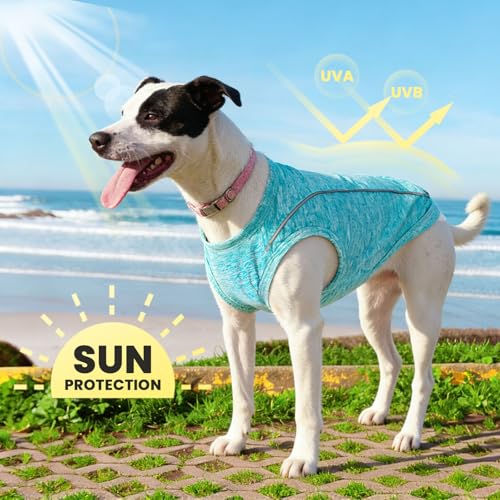 PETCARE Dog Shirt Clothes for Small Medium Dogs Cats Reflective Soft Stretchy Sun Protection Dog T-Shirts Cooling Vest Pup...