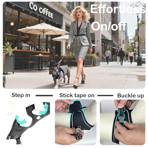 Dog Harness and Leash Set, No Pull Soft Mesh Pet Harness -in Puppy Pet Vest Harnesses for XS,Small,Medium Dogs and Cats Pi...