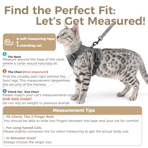 pangdi Cat Harness and Leash Set Escape Proof Tactical Extra Large Kitten Harness Emotional Support Cat Vest, Grey, XL