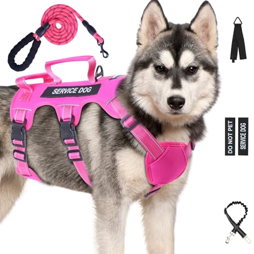 Escape Proof Dog Harness for Large Medium Sized Dogs Six Point Adjustable, Service Dog Vest Harness and Leash Set, No Pull...