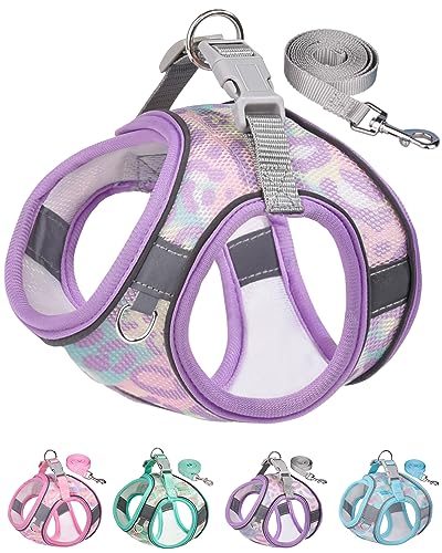 Aecllcea Dog Harness for Small Medium Dogs No Pull, Cat Harness and Leash Set, Step in Puppy Harness (Purple, XXS)