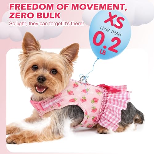 EXPAWLORER Dog Harness Small Medium Sized Dogs, Plaid Dog Dress Bowknot Harness and Leash Set, No Choke No Pull Soft Mesh ...