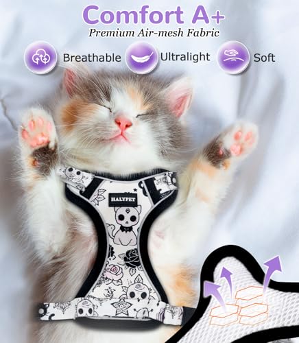 Halypet Cat Harness and Leash Set for Walking, Escape Proof Adjustable Vest Harness with 3-in-1 Integrated Buckles, Easy C...