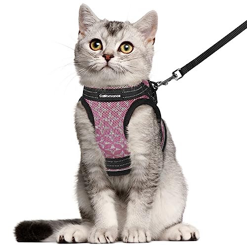 CatRomance Cat Harness and Leash Escape Proof for Walking, Safe Adjustable Large Kitten Vest Set with Reflective Strip for...