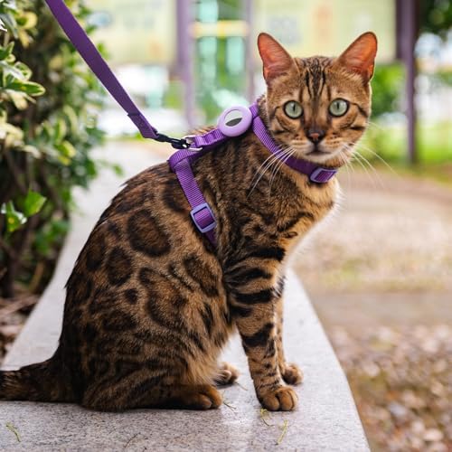 VKPETFR Cat Harness and Leash Set with Airtag Holder for Walking & Travelling, Escape Proof Cat Harness for Small Medium L...