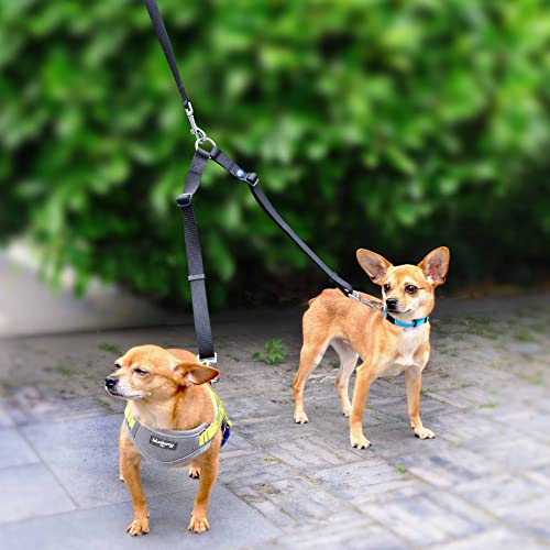 Blueberry Pet Essentials Durable Classic Double Dog Leash Coupler, Royal Blue, Small, Dual Walking & Training Leashes for ...