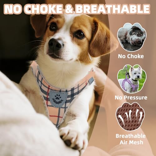 PAWCHIE Dog Harness and Leash Set, Step in No Pull Soft Pet Harness, Reflective Adjustable Puppy Vest for Small Medium Dog...
