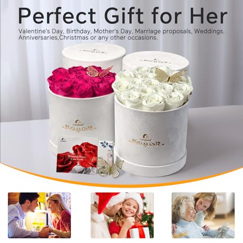 Cyrabota 16 Preserved Roses in a Box, Preserved Flowers Gifts for Women, Forever Flowers for Delivery, Flower Birthday Gif...