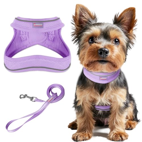 Dog Harness and Leash Set,Step in Small Sized Dog Harness,Soft Mesh,No-Chock,Reflective Adjustable,Secure with Hook & Loop...