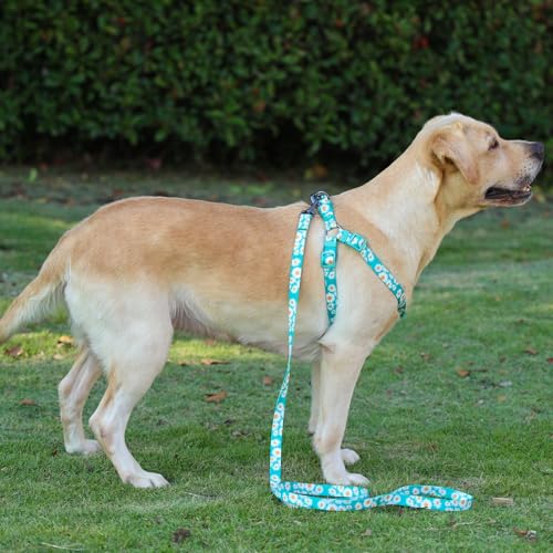 Olahibi Harness and Leash Set, Floral Pattern, 5ft Matching Leash, No Pull, Easy Wear for Small Dogs.(S, Green Daisy)