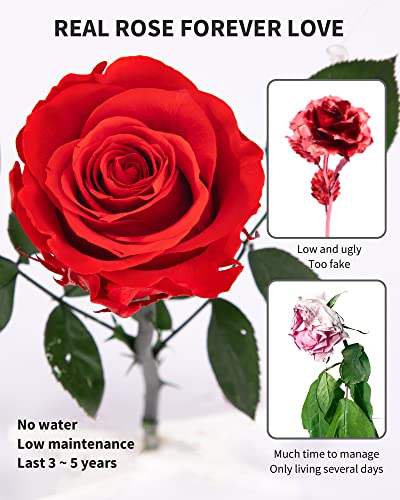 SofLiv Flowers for Delivery Prime, Preserved Roses Flower Gifts for Women, Real Roses Single Rose Presents for Her, Mom Bi...
