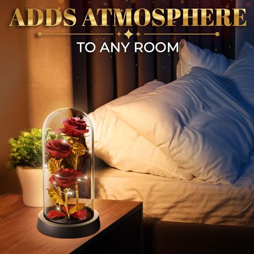 Rose in Glass Dome with LED Lights in Gift Box — Mothers Day Gifts for Mom Grandma, Birthday Gifts for Women, Lighted Glas...