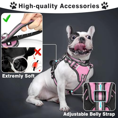 WINSEE Pet Harness Collar and Leash Set, All-in-one Reflective Dog Harness No Pull with Adjustable Buckles for Puppies, Sm...