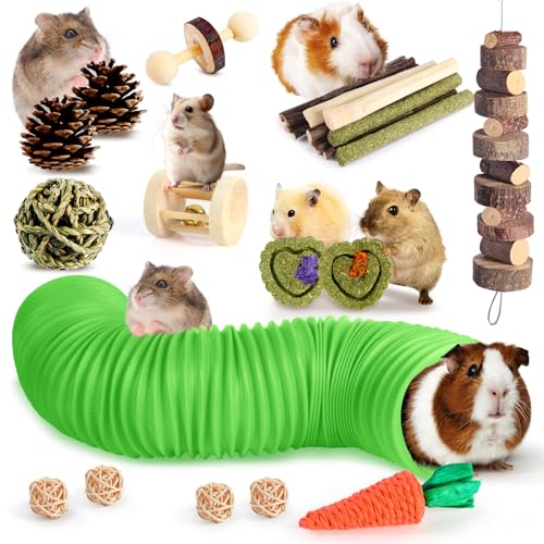 Kyouki Hamster Toys Guinea Pig Toys Set with Tunnel, Chewable Apple Wood & Natural Timothy Hay - Enrichment Chew Toys for ...