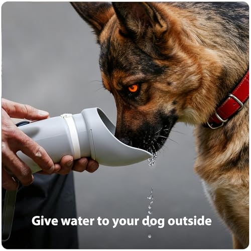 Jalopink Portable Dog Water Bottle, 2-in-1 Leak Proof & Collapsible Silicone Pet Dispenser with Built-in Bowl, Food Grade ...