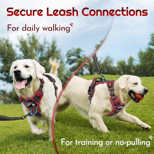 Eagloo Dog Harness for Large Dogs, Easy Wearing with 3 Buckles, Adjustable No Pull Pet Harness with 2 Rings for Walking, N...