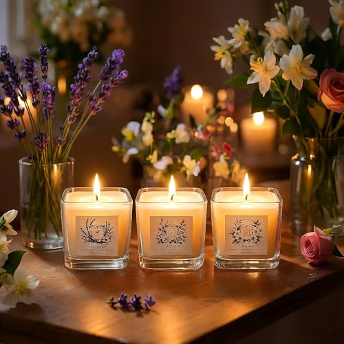 CHFILZLE Scented Candles Gift Set (3 Pack) - Natural Soy Scented Candles for Home, Lavender Rose & Jasmine - Long Lasting ...
