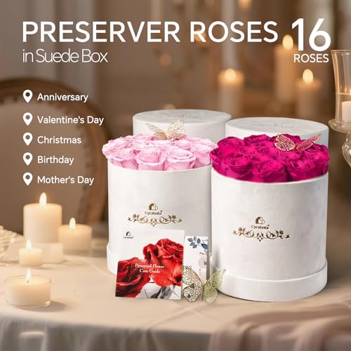 Cyrabota 16 Preserved Roses in a Box, Preserved Flowers Gifts for Women, Forever Flowers for Delivery, Flower Birthday Gif...