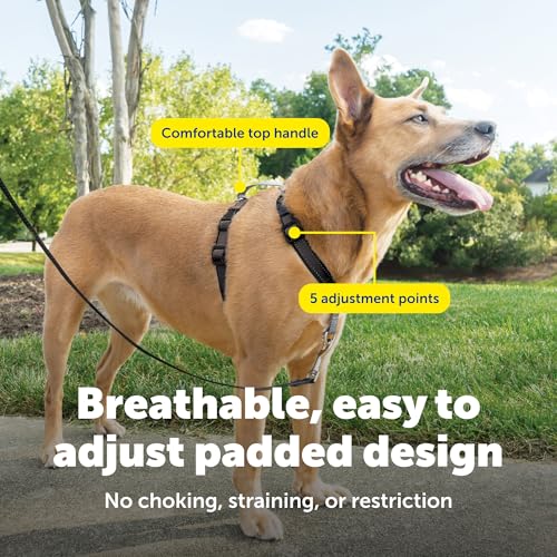 PetSafe 3-in-1 Harness - Comfortable Easy-Walk Dog Chest Harness with Front Leash Attachment to Reduce Pulling, Choking & ...