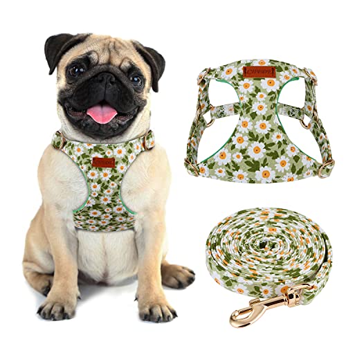 CHEDE No Pull Floral Pattern Dog Harness- Lightweight and Soft, Adjustable Small Dog Harness and Leash Set, with Dog Leas...