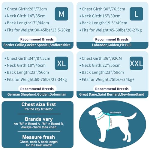 UNIPUP UPF 50+ Sun Protection Dog Shirt - Sleeveless Cooling Vest for Large Dogs Boy, Quick-Dry Pet T-Shirt with Funny Din...
