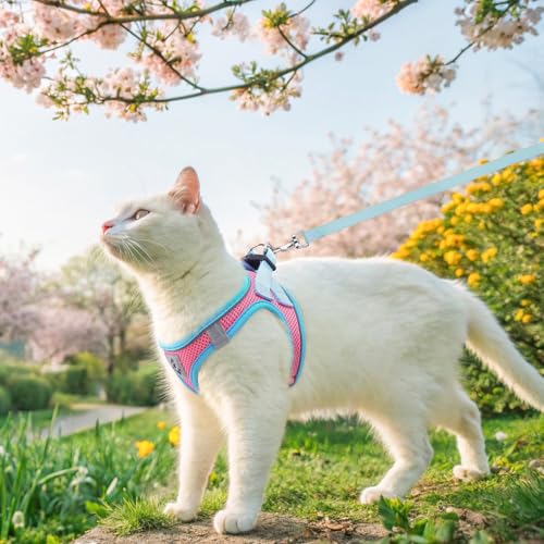 SCENEREAL Cat Harness and Leash Set Escape Proof, Adjustable Soft Air Mesh Kitten Harnesses for Girls Boys Small Medium Bi...