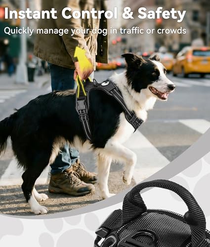 Joytale No Pull Dog Harness Medium Sized Dog, Reflective Pet Vest with Front Clip, Adjustable Soft Padded Harnesses with E...