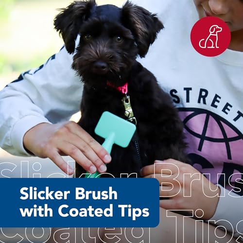 Coastal Pet Li'l Pals Dog Slicker Brush with Coated Tips - Dog Grooming Brush for Small Breeds & Puppies - One Size (3.25”...