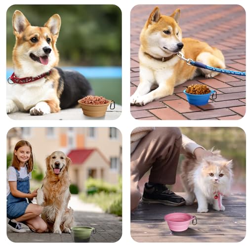 PetBonus 2-Pack Silicone Collapsible Dog Bowls, BPA Free Dishwasher Safe, Portable Foldable Expandable Travel Bowl, Food W...